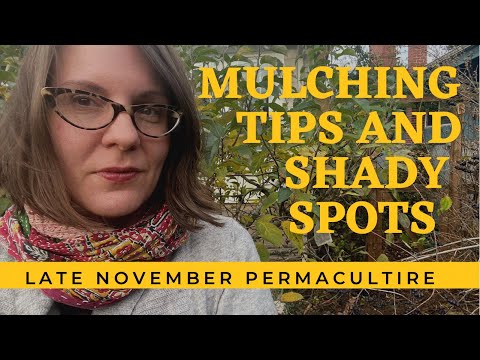 Mulching Tips and Shade Garden Tasks