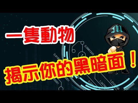 《一隻動物，揭示你的陰暗面！》Marco的深夜廣播 M - 043