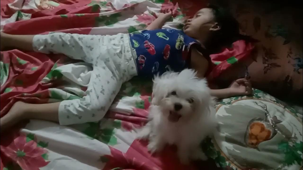 CHINO PLAYING WHILE I AM SLEEP YouTube chino-playing-while-i-am-sleep-youtube