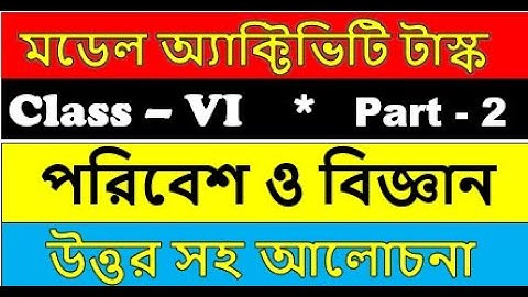 class 6 Environment and science model activity task part 2 | পরিবেশ ও বিজ্ঞান মডেল অ্যাকটিভিটি টাস্ক