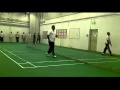 Ashton allstars indoor cricket netsavi