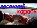 Весенний КРУПНЫЙ КАРАСЬ в апреле ! Рыбалка 2020