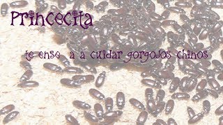 Que sanar para siempre la psoriasis