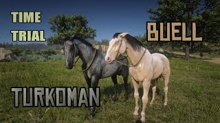 Buell vs Turkoman Time Trial : Red Dead Redemption 2