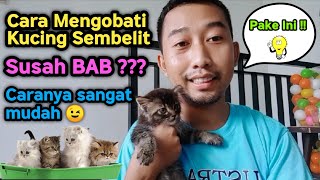 Cara Mengobati Kucing Sembelit | Susah Buang Air Besar Cara Mengobati Kucing Sembelit | Susah Buang Air Besar