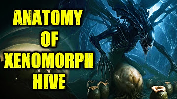 Xenomorph Hive Anatomy Explored – Do They Have Societal & Respect Structures Like Ants?