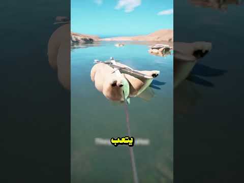 الجنود العباقرة يعبرون النهر بخدعة مذهلة حرب اختراع دهاء