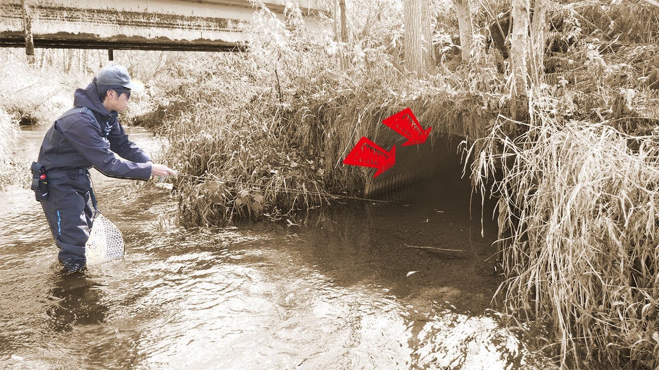 【道東の渓流】ポテンシャルがヤバい川でトラウトフィッシング【Trout Fishing】