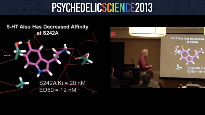 Neuroscience of Psychedelics Workshop - Part 2/4