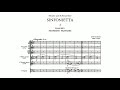 Janek  sinfonietta score