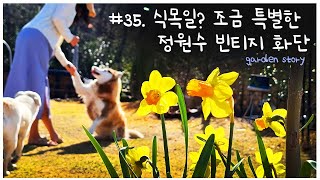 [정원 이야기 35편 4k] Korean garden. 조금 특별한 정원수 빈티지 화단 ㅣ식목일! 심을 나무는 고르셨나요?ㅣ코스트코 묘목ㅣ장미진딧물 ㅣbrick flower bed by 꽃을 든 강쥐 7,480 views 2 months ago 15 minutes