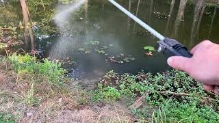 Easy Way To Kill Cattails, Water Primrose, & Duckweed