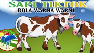 Sapi Kartun Lucu Mendidik Animasi Untuk Anak Belajar Sejak Dini Dak Chanel Youtube