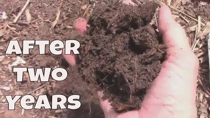 Wood Chip Gardening - What The Wood Chips Look Like After Two Years.
