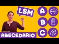 LSM Abecedario | Lengua de Señas Mexicana.