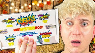 I Opened New 8.0 Cheese's Treasures Pokemon Mystery Boxes