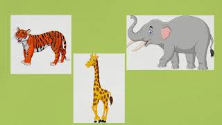 hábitats de los animales hábitats de los animales