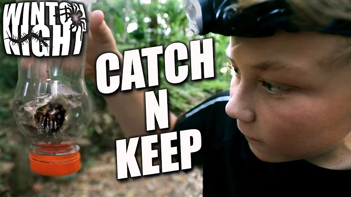 Catch N Keep - Spiders/Centiped...  #1