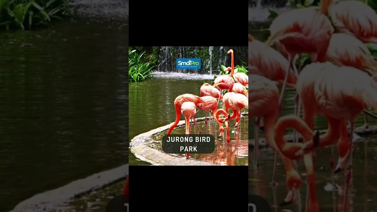 Places to visit in Singapore | Travel tips | SmotPro India Places to visit in Singapore | Travel tips | SmotPro India