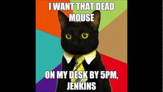 Business Cat Meme Compilation