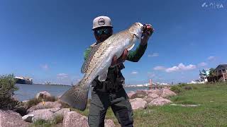 Freeport Surfside Jetty Fishing Update | Muddy water | Trout, mangrove &amp; flounder | May 19, 2026