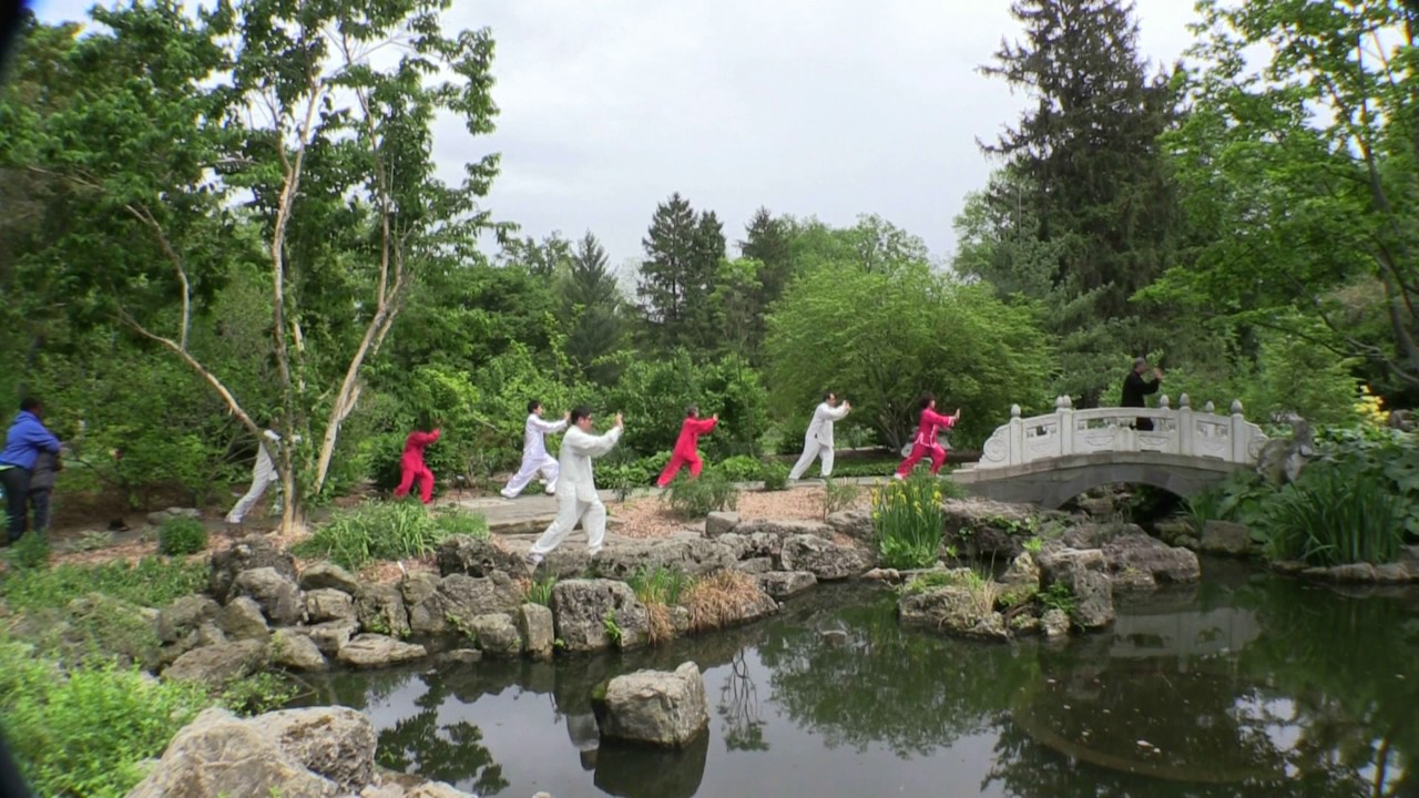 Tai chi in the garden YouTube