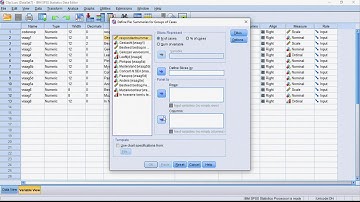 Clip 11: Cirkeldiagram
