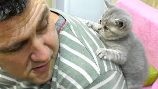 Kitten Street scratches and bites dad