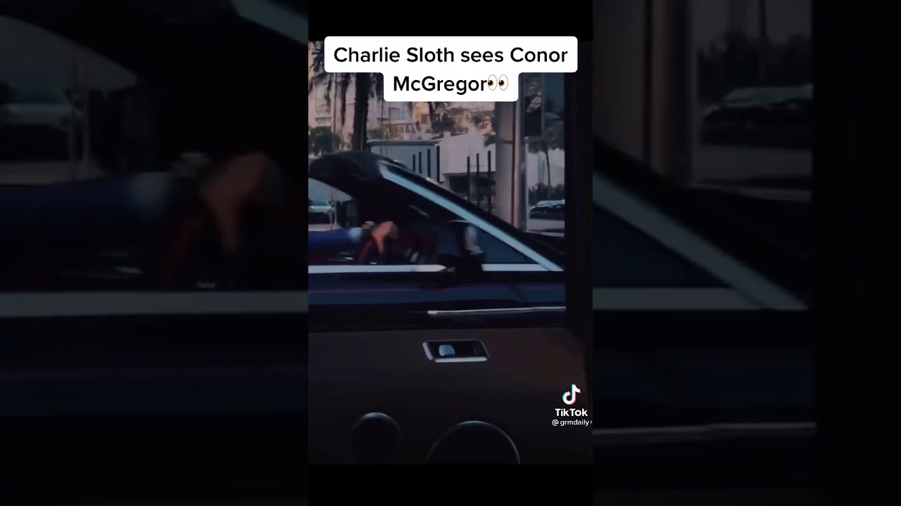 Charlie sloth Connor mcgregor in traffic 