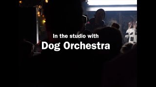 Meet Dog Orchestra + (New Song Clips!)