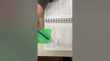 Visual Perception Scoring