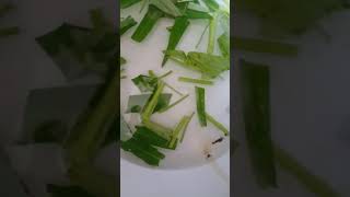 Lintah di sayur kangkung real nyata