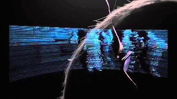 Faculty Profile: R.L. Rutsky