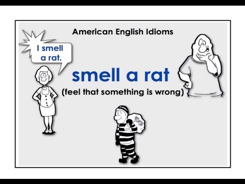 American English Idioms | Easy English Conversation Practice | ESL