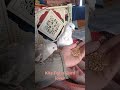 pigeon & parrot 💛🤗#birds #shortvideos
