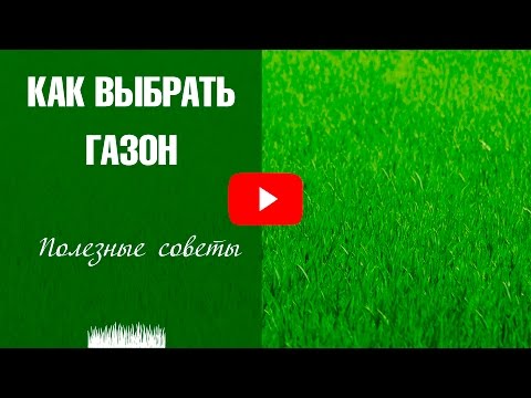 Газонная трава - какую выбрать? 🌱 Виды газонов