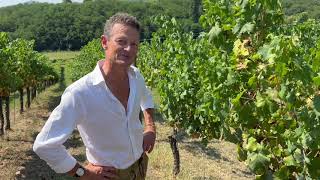 In The Vincaïe Vineyard, With Moritz Rogosky Of Podere Il Carnasciale