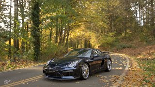 Porsche Cayman Gt4 '16 - stock - soft sport - Deep Forest best lap - 603,91 PP screenshot 5
