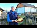 How a Woman Lives in a remote village in Ukraine! Cooking a traditional Lunch