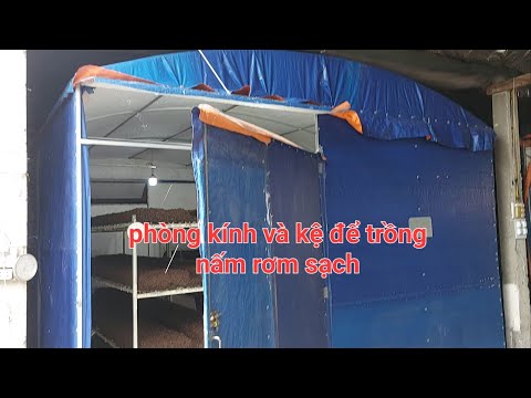 Video mô hình nhà, kệ để trồng nấm rơm nhà kính dễ làm ,sạch... - youtube