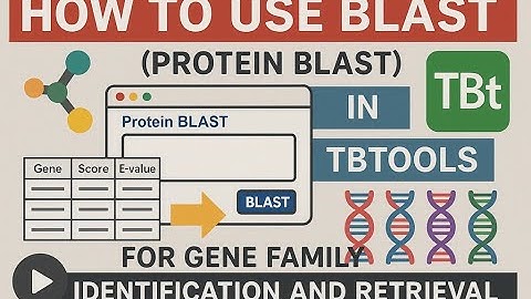 How to Use BLAST (Protein BLAST) in TBtools for Gene Family Identification and Retrieval