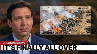 Florida Kept Losing Pythons for Months — When Scientists Found the Killer, They Evacuated!