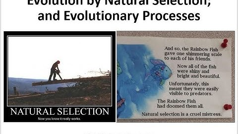 Lecture 5 narrated video Evolution by Natural Selection; Evolutionary Processes