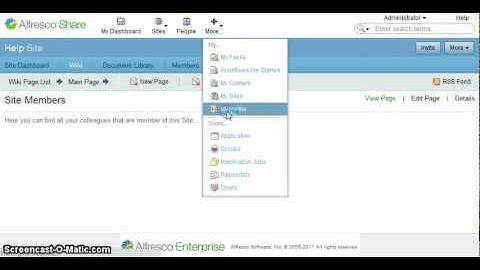 alfresco-share-dynamic-help.flv