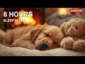 🐶 8 Hours of Solo Piano for Dogs 🎵💖 Anti Anxiety Calm 🎵 Fall Asleep Fast 💖