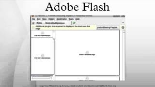 Adobe Flash screenshot 5