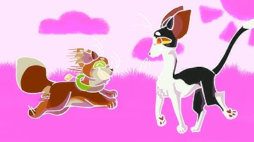 Part 4 - Circles Warrior Cats MAP [flipaclip]