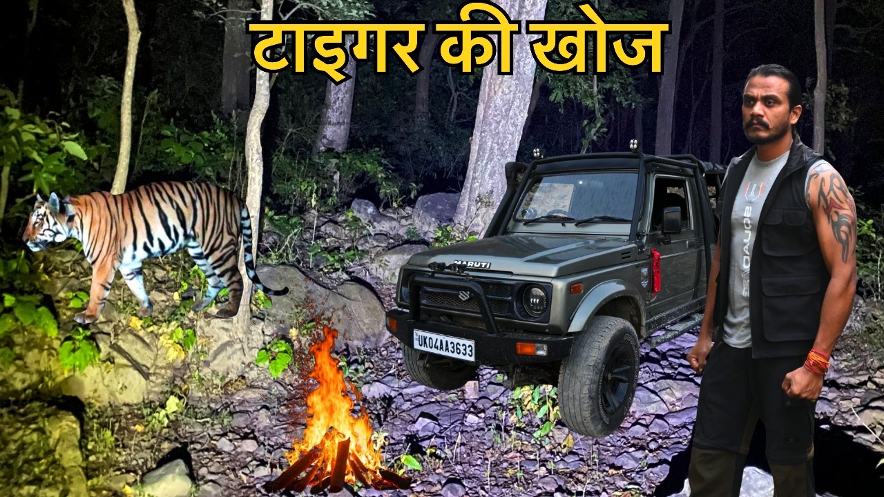 Wild Camping | In Search Of Tiger | Jungle Night Drive