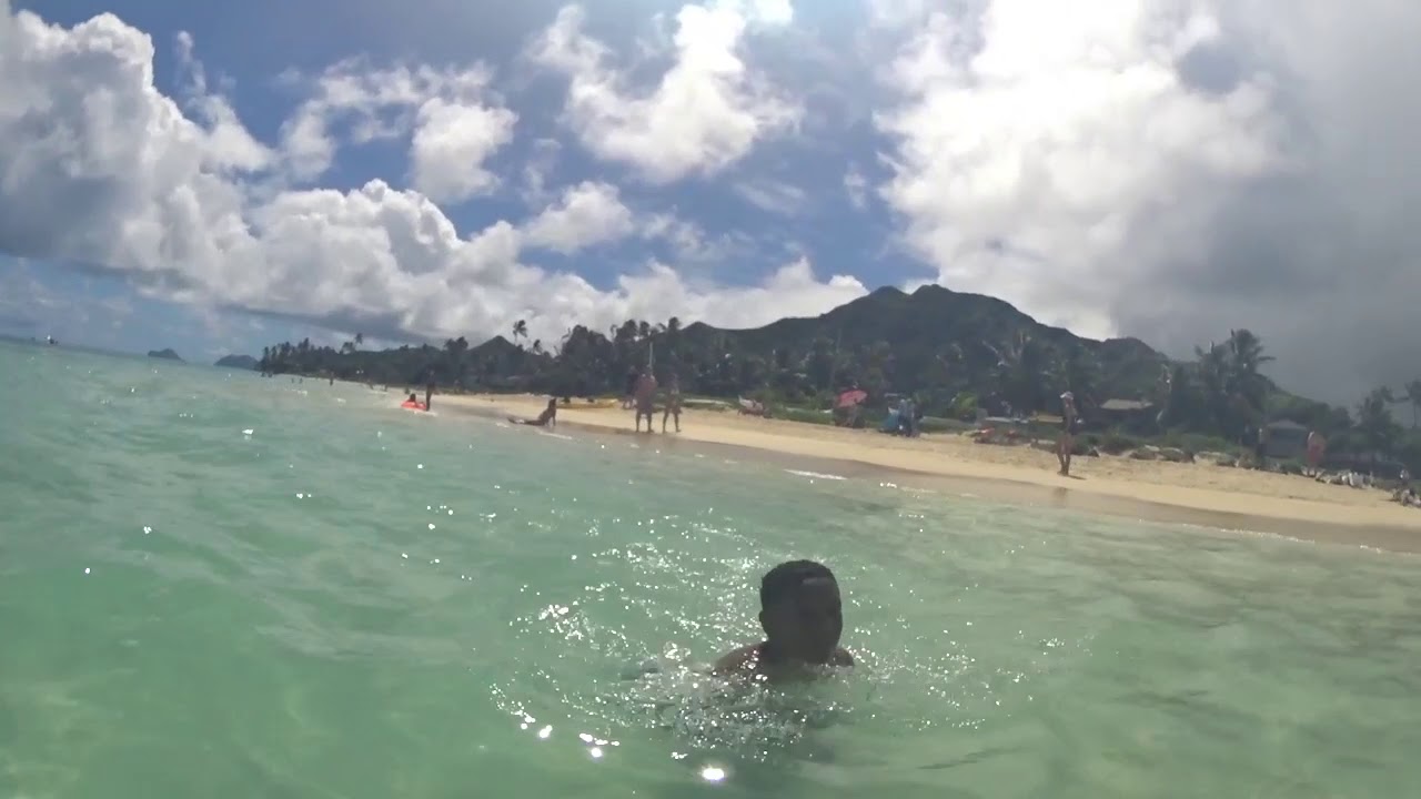 Snorkeling Lanikai Beach YouTube