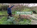 Tips  tricks for naturalistic planting  a spring garden tour  explain